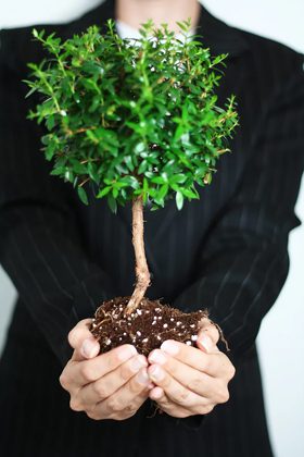 Surviving and Thriving as a Community Interpreter